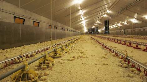 „Wanneer veehouders nog verder terug moeten in het antibioticagebruik zal de gezondheid en het welzijn van dieren in het nauw komen”, zegt Maartje Kramer, bestuurder van de Koninklijke Nederlandse Maatschappij voor Diergeneeskunde (KNMvD).