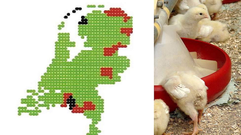 In het kaartje staan de uitbraken zoals aangemeld in het EWS (Early Warning System) van de Gezondheidsdienst voor Dieren (GD).