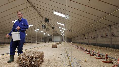 Corné Dirven (47) houdt in Someren 13.500 traag groeiende vleeskuikens volgens het Kip van Morgen concept van Jumbo. Naast één vleeskuikensstal heeft hij twee varkensstallen die plaats bieden aan 3.300 opfokgelten. Het werk in de stallen doet hij grotende