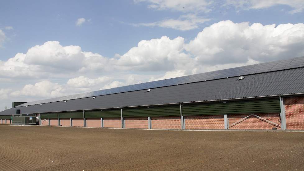 Een vleeskuikensstal met zonnepanelen.