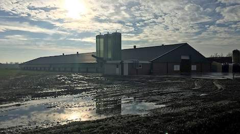 Maatschap van Ass bouwde op de locatie aan de Kempkensberg 2 een nieuwe stal voor 54.000 kuikens. In de toekomst is er nog ruimte voor een vierde stal op deze locatie. Het afgelopen jaar renoveerden ze ook de twee oudere stallen op dit bedrijf.