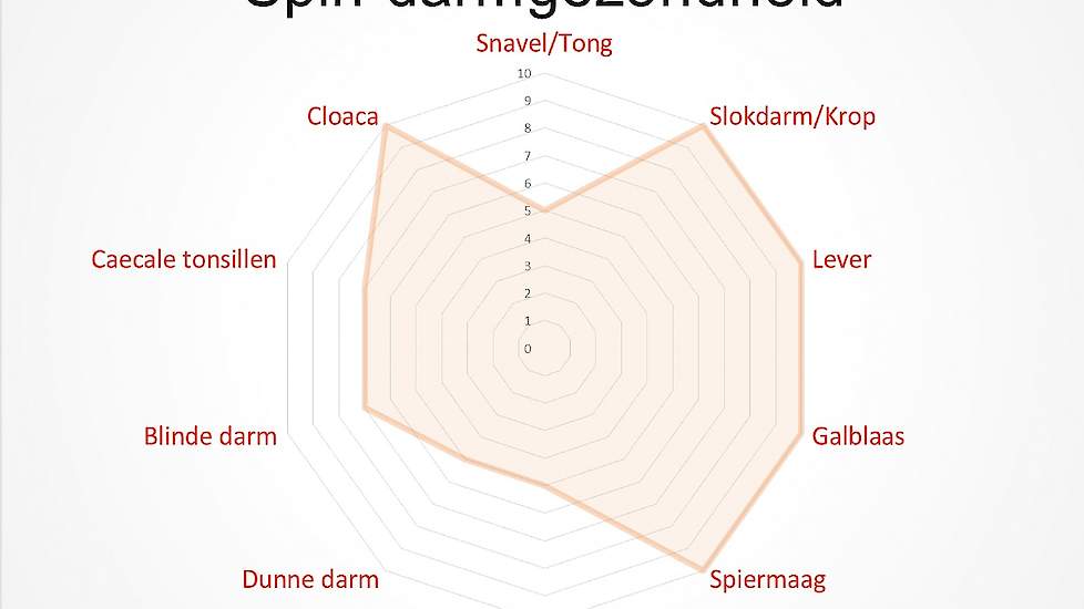 Voorbeeld van een spinnenweb overzicht van de darmgezondheid.