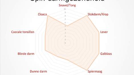 Voorbeeld van een spinnenweb overzicht van de darmgezondheid.