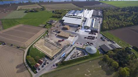 Walko produceert wekelijks ruim 8.500 ton met champignonmycelium doorgroeide compost op drie locaties in Europa: Blitterswijck (NL), Maasmechelen (B) en Wallhausen (D). Dit is de compostlocatie in Blitterswijck, Limburg. Links de aanvoer van stro, paarden