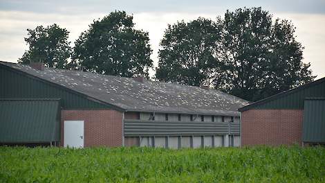 Ook veel pluimvee- en varkensbedrijven in de regio Asten-Someren werden getroffen door het noodweer. De gaten in het dak van deze stal zijn gedicht met purschuim.