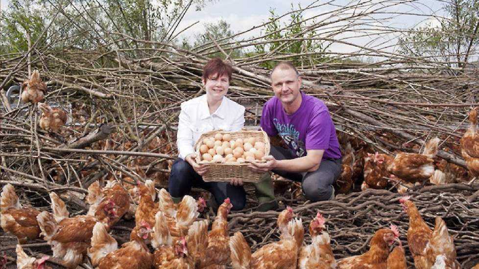 Gerda en Johan Briene houden biologische en scharrelhennen in Wierden.