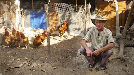 Wim Marcelissen (56) houdt in Gambia 250 ouderdieren en heeft een broederij waar hij wekelijks 1.100 eieren uitbroed, waar er circa 900 van uitkomen. „Een uitkomstpercentage van 81,5 procent is zeker niet slecht onder de tropische zon”, zegt Wim.