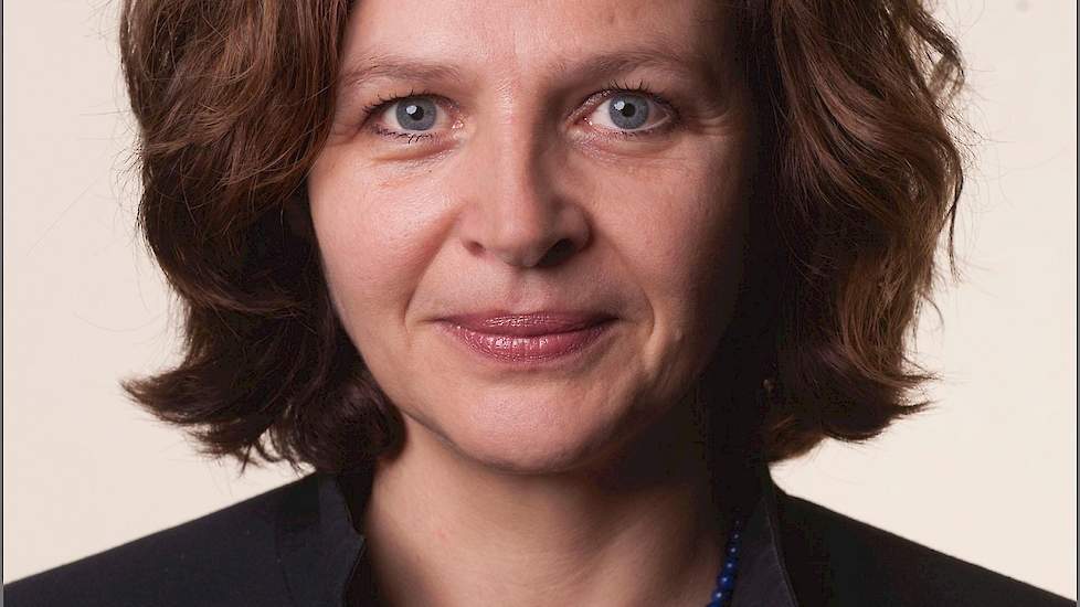 Minister Edith Schippers van Volksgezondheid, Welzijn en Sport (VWS) investeert de komende vier jaar ruim 6 miljoen euro in onderzoek naar nieuwe antibiotica.