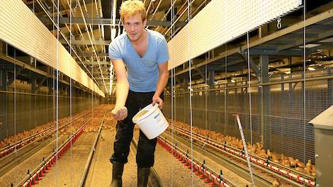 Arjen Geijtenbeek (24), die biologische hennen voor Ter Heerdt kuikens en hennen opfokt, koos voor het Jumpstart systeem van Vencomatic. Hij mocht van Ter Heerdt kiezen uit het Jumpstart of Nivo Varia opfoksysteem en vroeg verschillende opfokkers naar hun