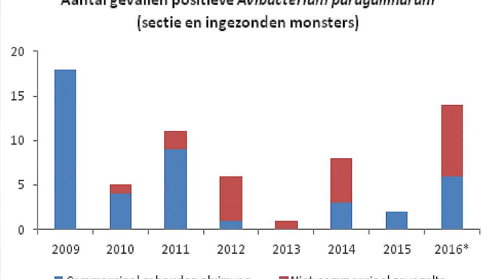 Het aantal uitbraken van acute snot (Coryza) in Nederland van 2009 tot november 2016.