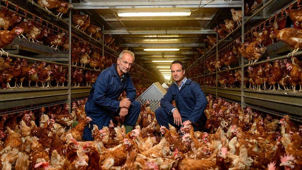 Jan (links) en Christian Wolbrink medio 2016 in één van hun twee volièrestallen. Foto: Agrivaknet.