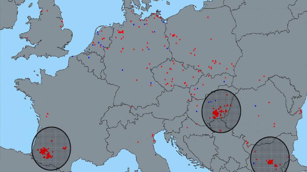 Op deze kaart zijn de besmettingen bij bedrijfsmatig gehouden pluimvee (rood) en hobbypluimvee (blauw) te zien. De cirkels benadrukken de gebieden waar een hoge concentratie aan besmettingen is.