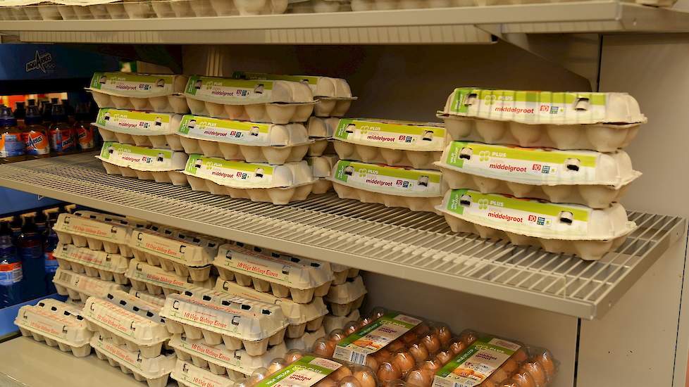 De Belgische supermarktketen Delhaize biedt nu in tegenstelling tot Nederlandse supermarkten twee soorten scharreleieren aan.