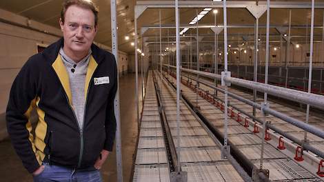 Leghennenhouder Ben Janssen vindt dat de aanpak van hoogpathogene vogelgriep rigoureus anders moet.