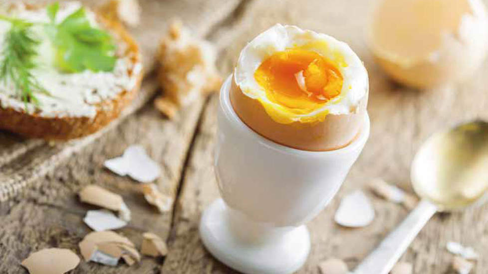 Duitsers eten meer eieren | pluimveehouders