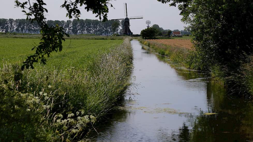 Oppervlaktewater ruimt groot deel fosfaat zelf op Pluimveeweb.nl - Nieuws voor pluimveehouders