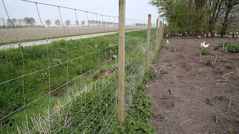 De in december 2016 aan de Stichting Faunabeheereenheid Flevoland verleende ontheffing voor het doden van vossen in een straal van 5 kilometer rondom vrije uitloop kippenbedrijven, tussen zonsondergang en zonsopkomst met behulp van geweer en kunstlicht, b