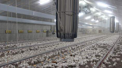 Een overzicht in de stal van vleeskuikenhouder Theo Snetselaar: in totaal 8 PMX units, verdeeld over 2 rijen (foto: Kees van Dooren, Boerderij)