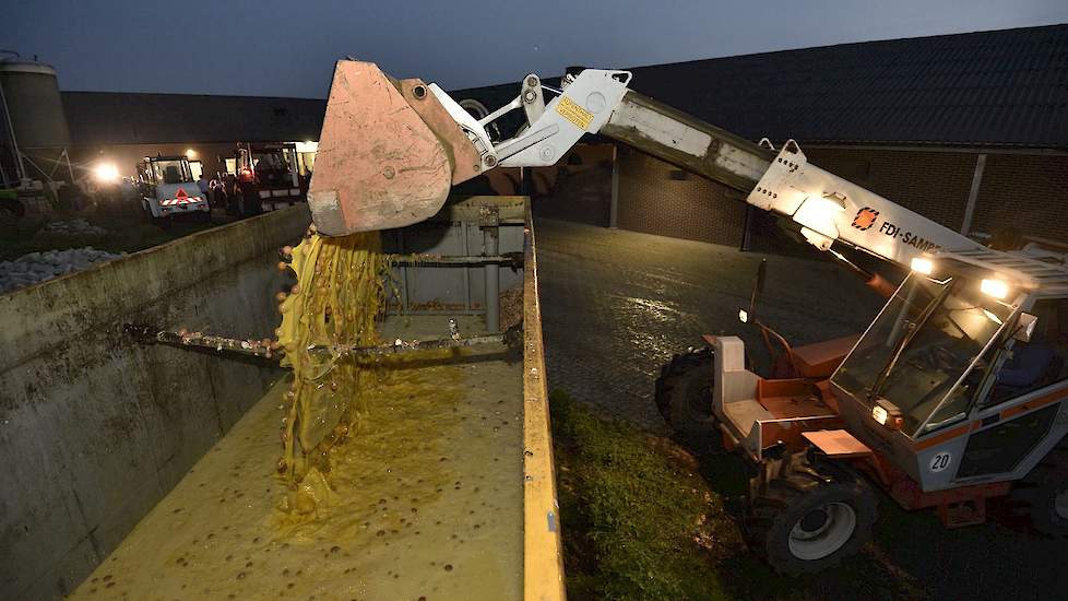 België ruimde 1,9 miljoen kippen en vernietigde ruim 77 miljoen eieren vanwege een besmetting met fipronil. Dat zegt federaal minister Denis Ducarme van Landbouw.