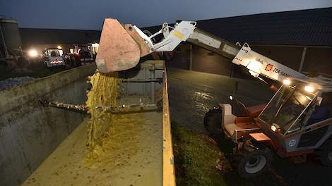 België ruimde 1,9 miljoen kippen en vernietigde ruim 77 miljoen eieren vanwege een besmetting met fipronil. Dat zegt federaal minister Denis Ducarme van Landbouw.