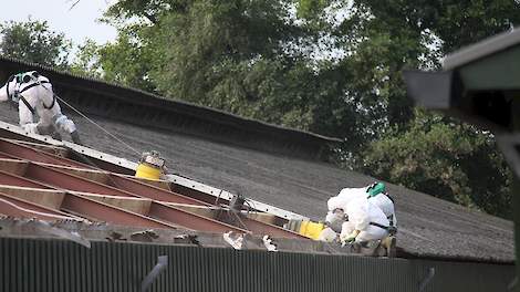 Boeren met een asbestdak hebben nog tot 1 januari 2024 om deze daken te saneren. Als de daken er op die datum nog liggen, kleven er grote risico’s voor bijvoorbeeld verzekeringen aan. Provincies komen met regelingen om de sanering te versnellen, maar het