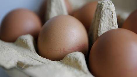 „Vier of vijf keer per week twee eieren per dag eten past in een gezond voedingspatroon. Eieren zijn namelijk rijk aan voedingsstoffen.”