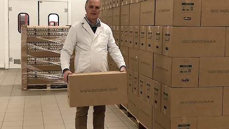 „Verdere uitbreiding van het aantal vleeskuikenouderdieren in België is onwenselijk”, zegt Carl Destrooper van broedei exporteur Incubel.