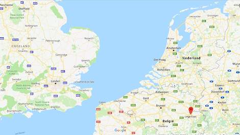 Bij sierkippen van een hobbyhouder in het Belgische Herstal bij Luik is donderdag 26 april Newcastle Disease (NCD) vastgesteld.