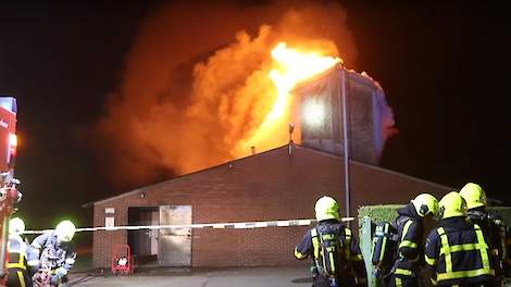 23.000 opfokleghennen zijn woensdag op donderdagnacht 10 mei omgekomen bij een stalbrand in het Limburgse Ospel.