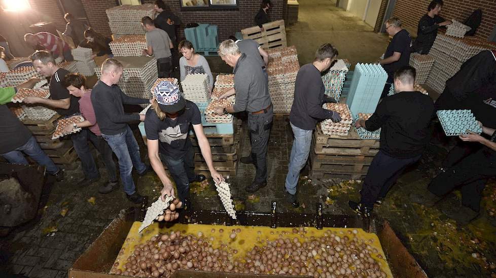 IKB Ei gaat rigoureus op de schop naar aanleiding van de fipronil crisis. Zo komt er een nieuw meldpunt om onregelmatigheden te melden.