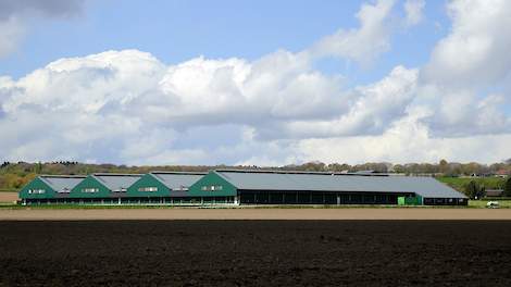 De gemeenteraad van Berg en Dal is tegen de heropening van het voormalig leghennenbedrijf voor een kleine 300.000 leghennen van Van Deurzen in Groesbeek (GD).