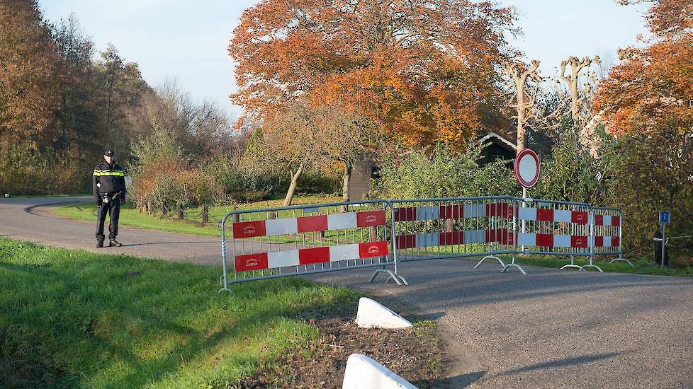 Het Voedselagentschap (FAVV) versoepelt vanaf 1 augustus enkele maatregelen tegen de ziekte van Newcastle Disease (NCD). Zo mogen professionele pluimveehandelaren dan, onder strikte bijkomende voorwaarden, opnieuw deelnemen aan markten en verkopen aan hob