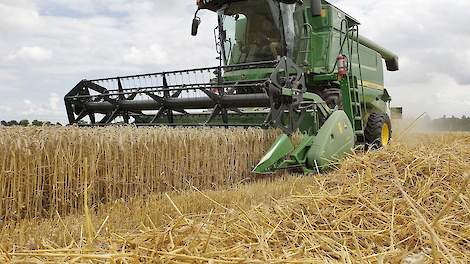 De International Grains Council (IGC) heeft de prognose voor de wereldwijde graanproductie iets naar beneden bijgesteld. Voor seizoen 2018-2019 is deze verlaagd met 18 miljoen ton naar 2.059 miljoen ton.