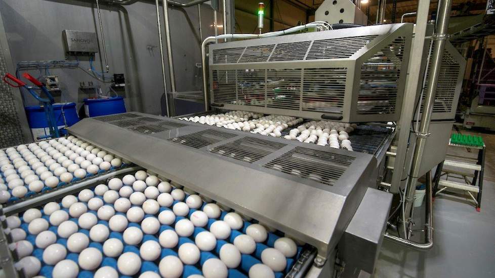 Pakstations en eiverwerkers leden ook grote financiële door firpronil. De fipronilcrisis kostte ieder pakstation of eiverwerker miljoenen, zegt Leon Wulms van eiverwerker Wulro Food Group uit het Limburgse Weert.