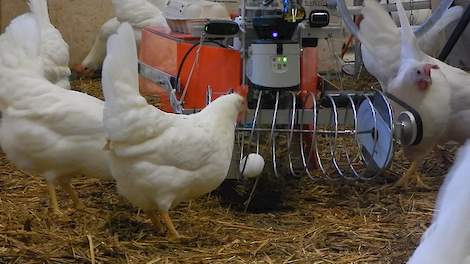 De CollEGGtor is een verbeterde versie van de PoultryBot (foto).