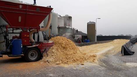 Varkenshouder Jan-Willem Lammers uit het Achterhoekse Aalten maalt aangekochte maïskorrels in één bewerking tot Corn Cob Mix (CCM).