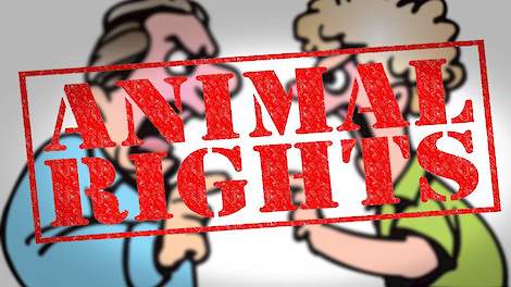 De dierenactivistenorganisatie Animal Rights ligt met elkaar overhoop. De top van de Belgische tak van deze organisatie, die met name bekend is geworden vanwege hun undercover filmpjes in slachterijen en bij boeren, staat op straat.