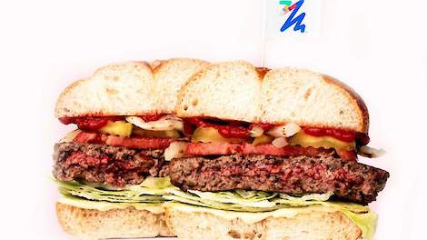 De PHW-Gruppe, eigenaar van het merk Wiesenhof, introduceert plantaardige hamburgers in Duitsland. Sinds eind vorige week zijn deze burgers te koop in Duitsland.