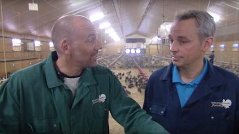 Twan Jenniskens (rechts) uit Ysselsteyn (LB) is de eerste kalkoenhouder in Nederland die kalkoenen houdt volgens de eisen van het één ster Beter Leven keurmerk van de Dierenbescherming.