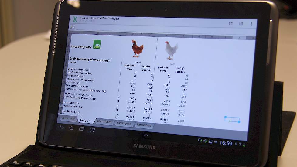 De saldocalculator van Agruniekrijnvallei. Bruin versus wit