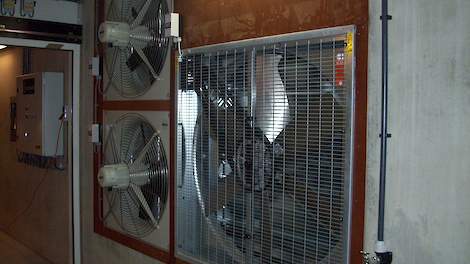 Ventilatie pluimvee