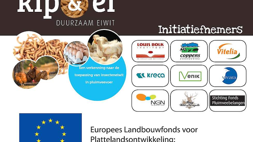 De projectgroep 'Kip en Ei' heeft twee jaar onderzoek gedaan naar de toepasbaarheid van insecteneiwit in vleeskuiken- en legkippenvoervoer. De conclusie is dat meelwormen prima als toevoeging gebruikt kunnen worden ter vervanging van soja en/of vismeel.