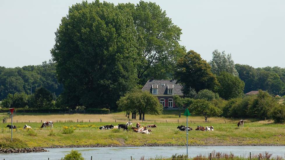 Uiterwaardvergraving langs de Keizers en Stobbenwaarden en de Olsterwaard ten Noorden van de IJssel