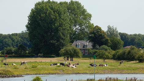 Uiterwaardvergraving langs de Keizers en Stobbenwaarden en de Olsterwaard ten Noorden van de IJssel