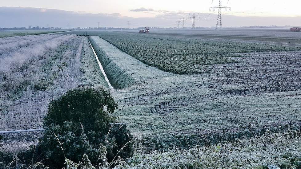 Op het Zuid-Hollandse akkerbouwbedrijf Novifarm zijn vanmorgen de laatste bieten gerooid. Na de oogst zijn ze direct afgedekt tegen de vorst.