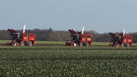 18 row Sugar Beet Harvest with Vervaet Q serie 621 and 616 Trekkerweb