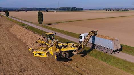 Rübenverladen | Ropa Maus 5 | Landtechnik Niedersachsen