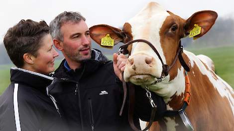 Sietze Henk en Tjitske Haytema met de homozygoot hoornloze Caudumer Lol 303 (Mitey P x Lawn Boy P), de volle zus van fokstier Europol PP.