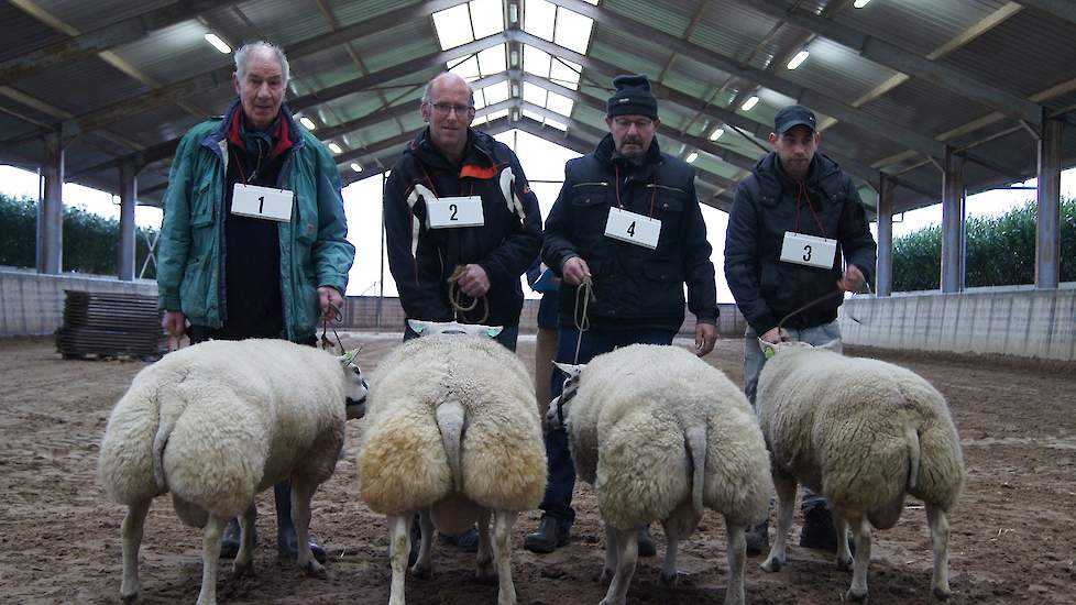 Links Jurjen Zomerman met zijn ram 1947- 08286 , winnaar van de rubriek Oude Rammen, naast hem reservekampioen De Vries met de ram 4736-18851.