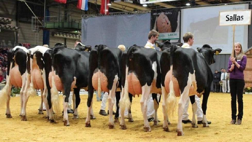 Met informatie van slechts twee meetmomenten behoort de Duitse stier Sallas tot de topstieren op basis van het aanhoudingsgetal. Met 92 procent nog aanwezig op 24 maanden na de eerste kalving scoort hij verreweg het hoogst.